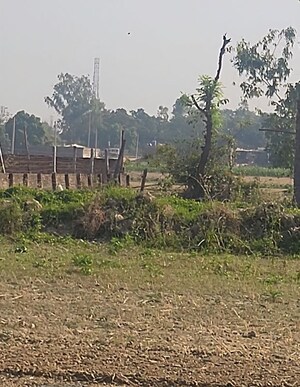 Plot Area in  Plot at Amethi – for Sale