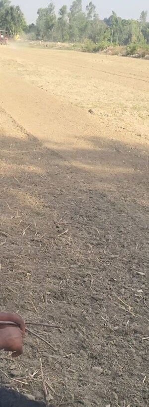 Plot Area in  Plot at Amethi – for Sale