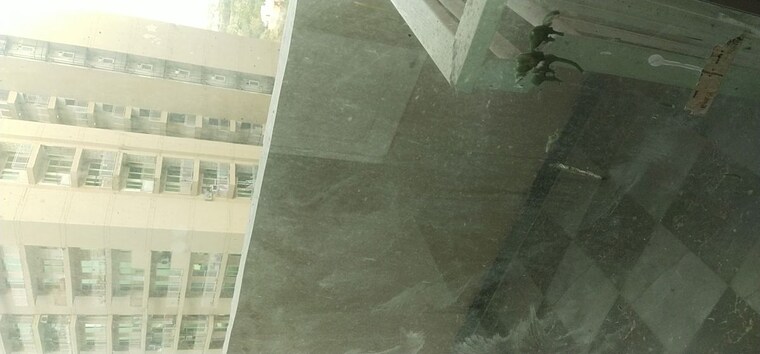 Balcony, sds-nri-residency-omega-ii 2 Bedroom 860 Sq.Ft. Apartment In Omega Ii Greater Noida Greater Noida 10453376