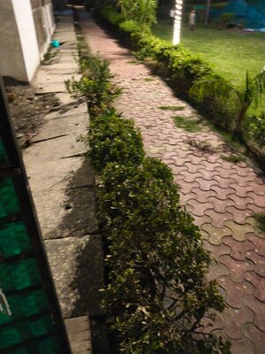 Balcony in 3 BHK Apartment at Amrapali Silicon City, Sector 76 – for Rent