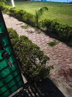 3 BHK Apartment – Garden View at Amrapali Silicon City, Sector 76 - for Rent