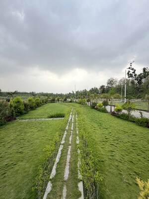  Plot – Garden View at Biharigarh - for Sale
