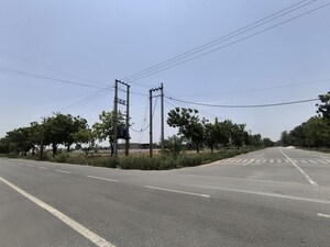  Plot For Sale in VKS Palm Drive, Pataudi