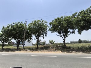Plot Area in  Plot at VKS Palm Drive, Pataudi – for Sale