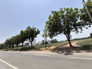  Plot – Garden View at VKS Palm Drive, Pataudi - for Sale