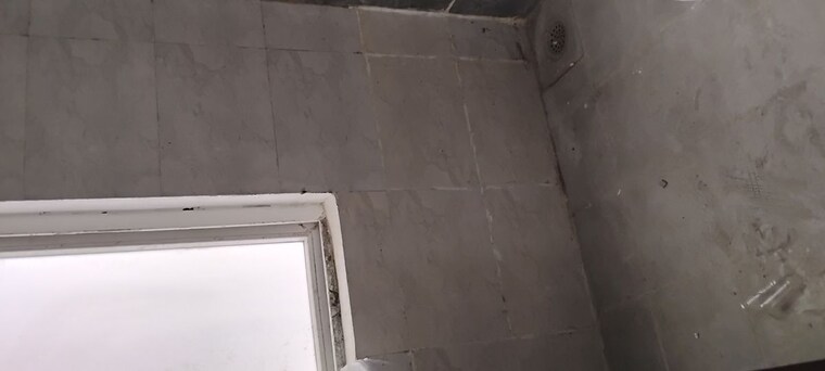 Bathroom, amrapali-ivory-heights 2 Bedroom 805 Sq.Ft. Apartment In Amrapali Dream Valley Greater Noida 10454069