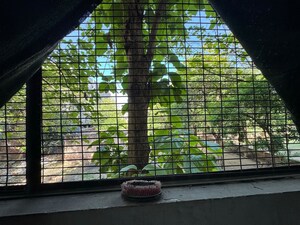 Parking in 2 BHK Apartment at Chattarpur – for Rent