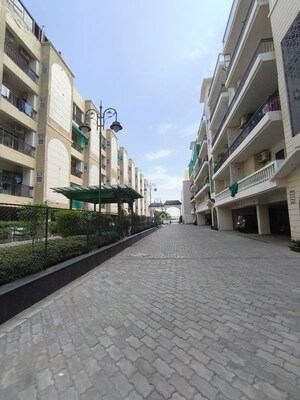 3 BHK Builder Floor – Exterior View View at CRD Golden Castle, Patiala Road - for Sale