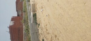   Plot at Pathauli Village – for Sale