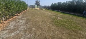  Plot – Garden View at NS Anand Niketan, Sohna Sector 2 - for Sale
