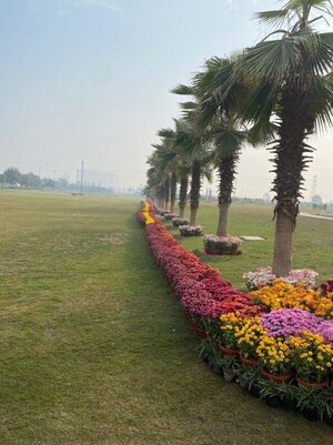  Plot – Garden View at NS Anand Niketan, Sohna Sector 2 - for Sale
