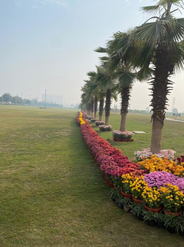 Garden, ns-anand-niketan  152 Sq.Yd. Plot In Sohna Sector 2 Gurgaon 10454426