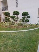 152 Sq.Yd. Plot in NS Anand Niketan