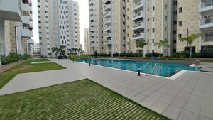 Swimming Pool in 3 BHK Apartment at Ambience Courtyard, Manikonda – for Sale