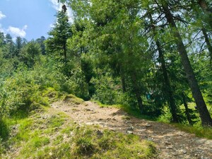  Plot For Sale in Lower Bazar