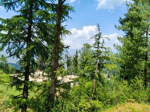  Plot – Garden View at Lower Bazar - for Sale
