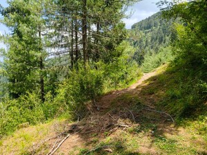 Plot Area in  Plot at Lower Bazar – for Sale