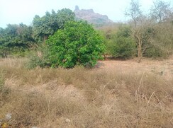 Plot For Sale in New Panvel
