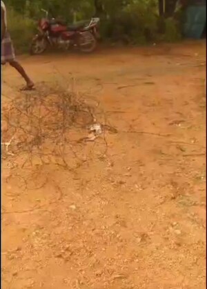 Plot Area in  Land at Perungudi – for Rent