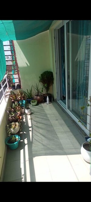 3 BHK Builder Floor For Sale in Preet Colony