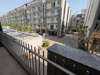 3.5 BHK + Study Room 1503 Sq.Ft. Builder Floor in M3M Soulitude