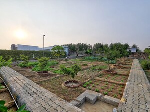 Plot Area in 4 BHK Apartment at BPTP Amstoria Country Floor, Sector 102 – for Rent