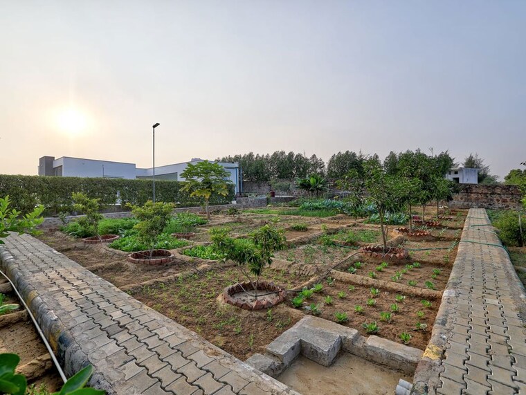 undefined, bptp-amstoria-country-floor 4 Bedroom 4500 Sq.Ft. Apartment In Sector 102 Gurgaon 10455079