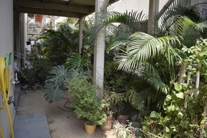 Balcony in 3 BHK Apartment at Emaar Emerald Floors Premier, Sector 65 – for Sale