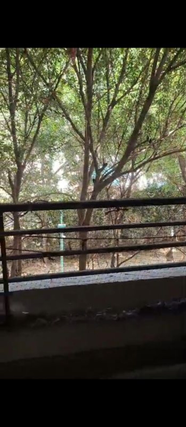Balcony, central-park-i 1 RK 325 Sq.Ft. Apartment In Sector 42 Gurgaon 10455217