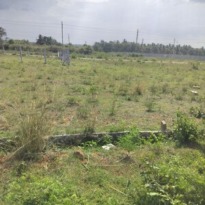  Plot For Sale in Madagalli