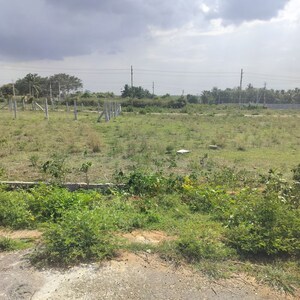 Plot Area in  Plot at Madagalli – for Sale