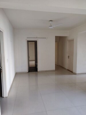 3 BHK Apartment For Rent in Tulip Violet, Sector 69
