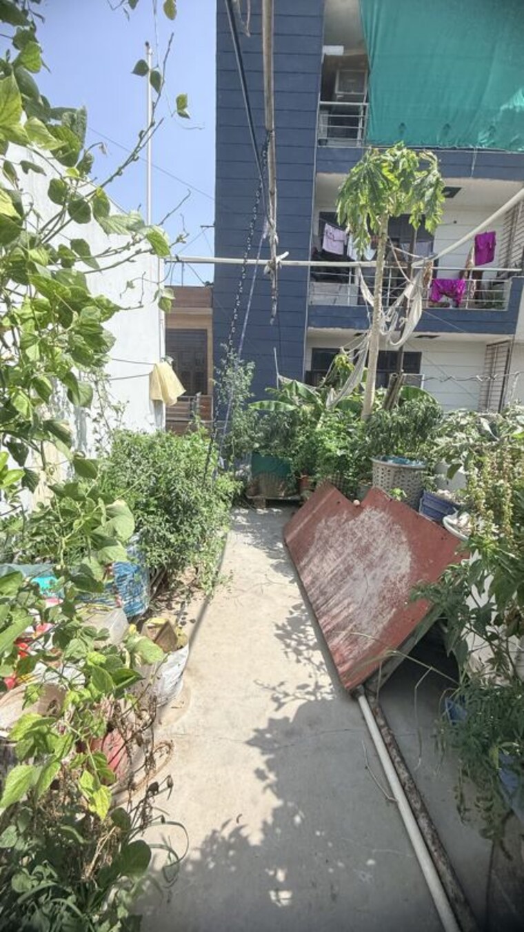Exterior View, new palam vihar phase 1 2 Bedroom 1000 Sq.Yd. Independent House In New Palam Vihar Phase 1 Gurgaon 10456228