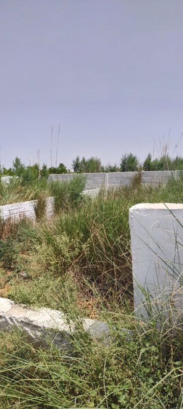 125 Sq.Yd. Plot in Dwarka Expressway