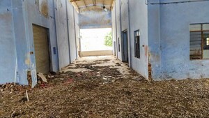   Industrial Plot at Dasada – for Sale
