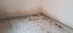Room in  Independent House at Sindewahi – for Sale