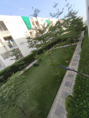 3 BHK Builder Floor – Garden View at Motia Aerogreens, Dyalpur - for Sale