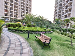 3.5 BHK Apartment For Rent in ATS Marigold, Sector 89a