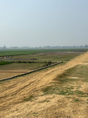 Plot Area in  Plot at Maniram – for Sale