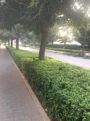 2 BHK Apartment – Garden View at Bhartiya Nikoo Homes, Thanisandra Main Road - for Rent