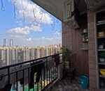 3.5 BHK + Servant Room 1685 Sq.Ft. Apartment in Paramount Floraville