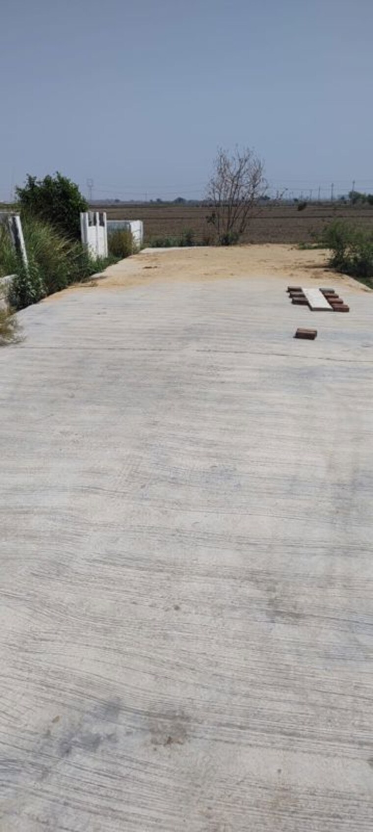 undefined, badsa sector 9  105 Sq.Yd. Plot In Badsa Sector 9 Jhajjar 10457249