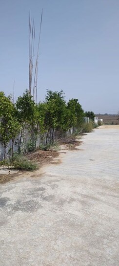 Plot For Sale in Badsa Sector 9