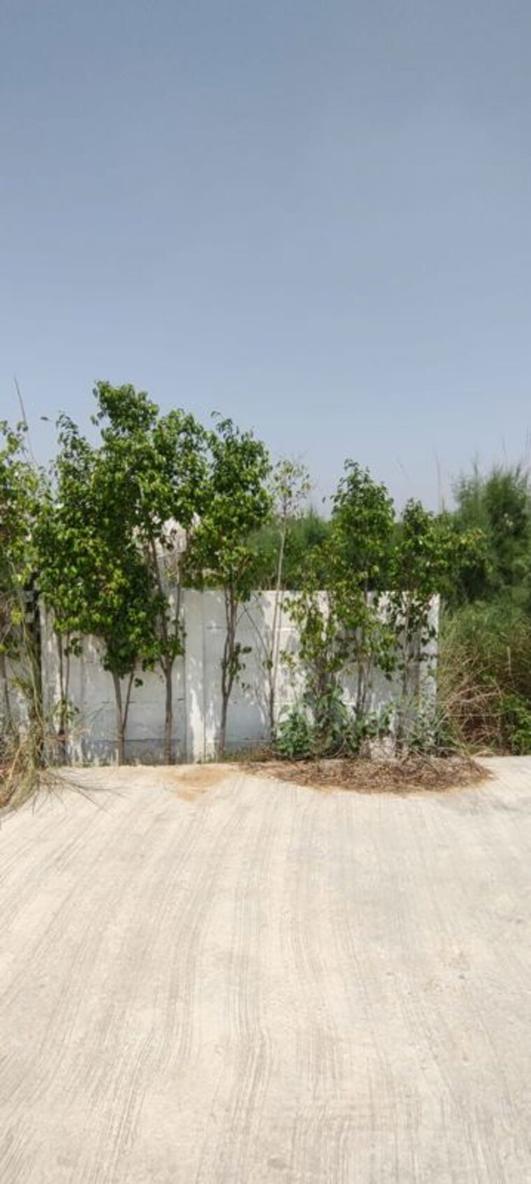 Garden, badsa sector 9  105 Sq.Yd. Plot In Badsa Sector 9 Jhajjar 10457316