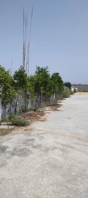 Plot Area in  Plot at Badsa Sector 9 – for Sale