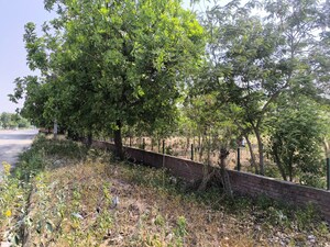 Plot Area in  Plot at VKS Palm Drive, Pataudi – for Sale