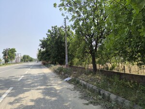 Plot Area in  Plot at VKS Palm Drive, Pataudi – for Sale