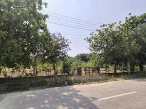 Plot Area in  Plot at VKS Palm Drive, Pataudi – for Sale