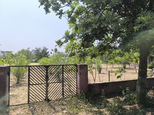  Plot – Exterior View View at VKS Palm Drive, Pataudi - for Sale