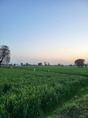  Land For Sale in Neharpar Phase 1